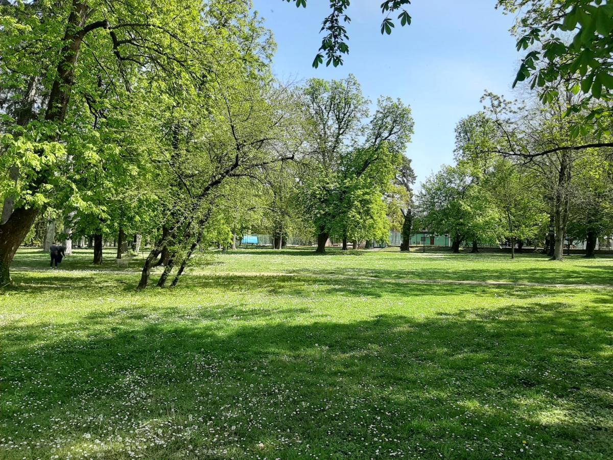 Apartman Kod Kestena Osijek Exteriér fotografie